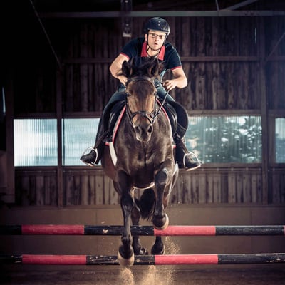 Horse jumping over a training fence