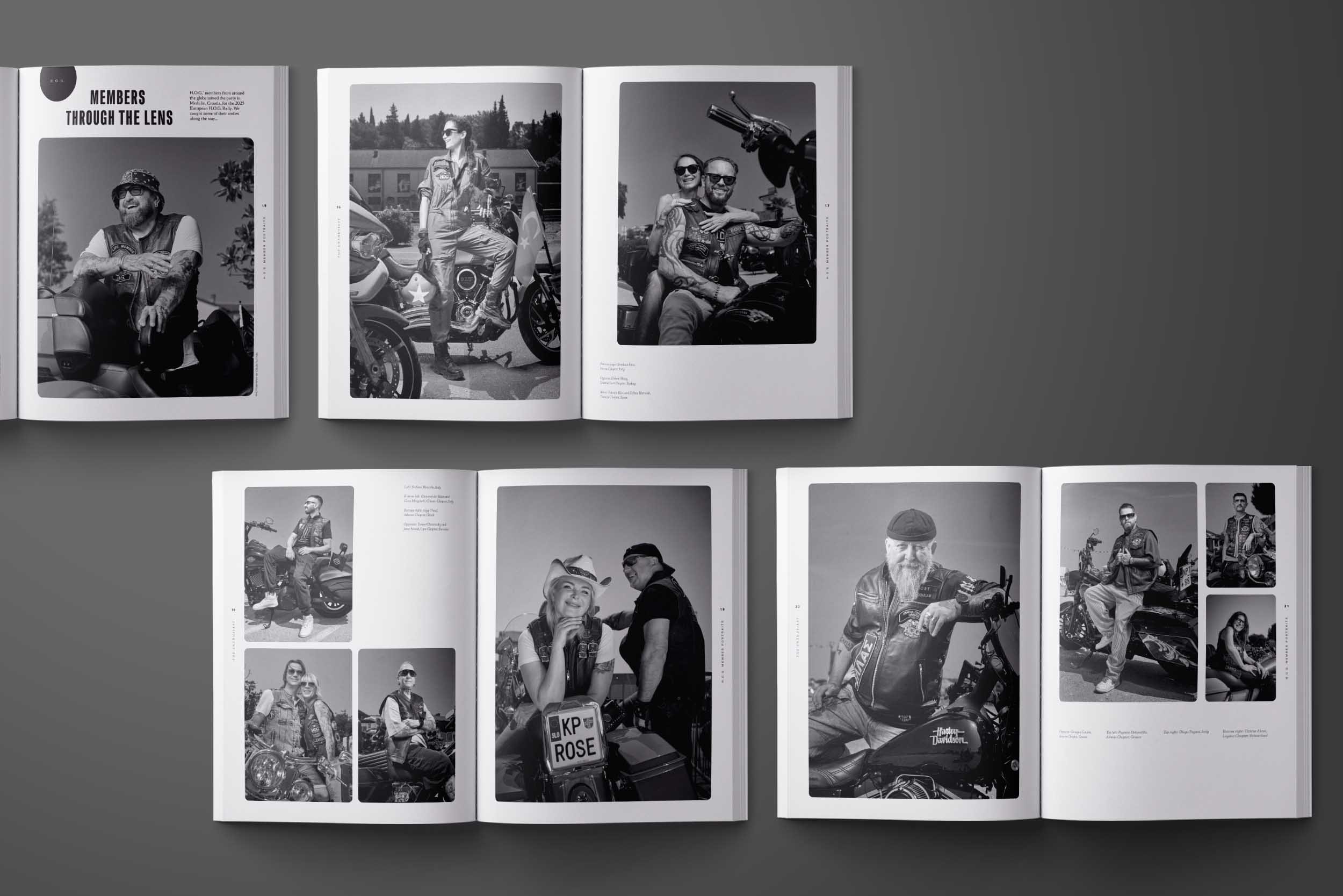 Article HOG Portraits Layouts 1