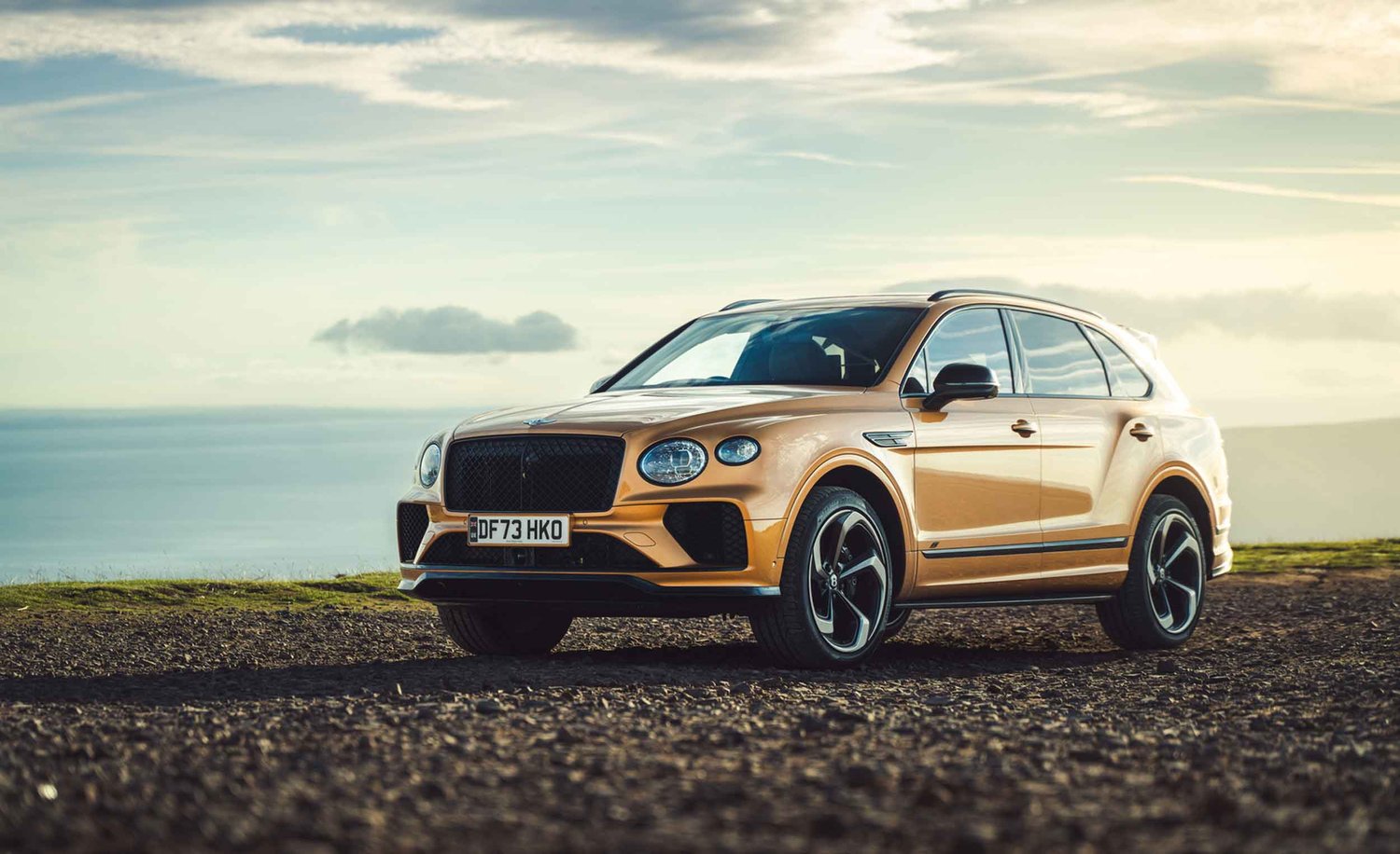 Bentley on a beach