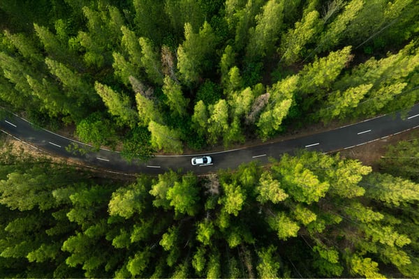 Dialogue releases its new automotive report, Electric Vehicles: Brand Loyalty and Communications