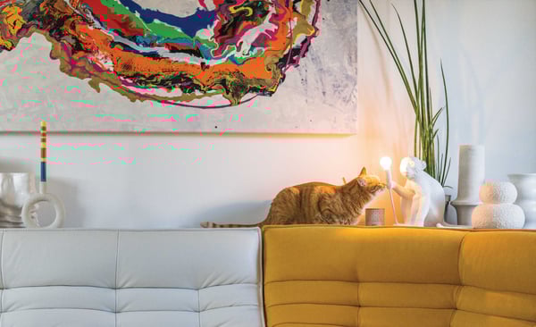 Jarrolds cat on a sofa