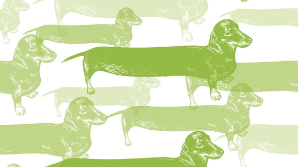 Long-form content and the art of more in 2019