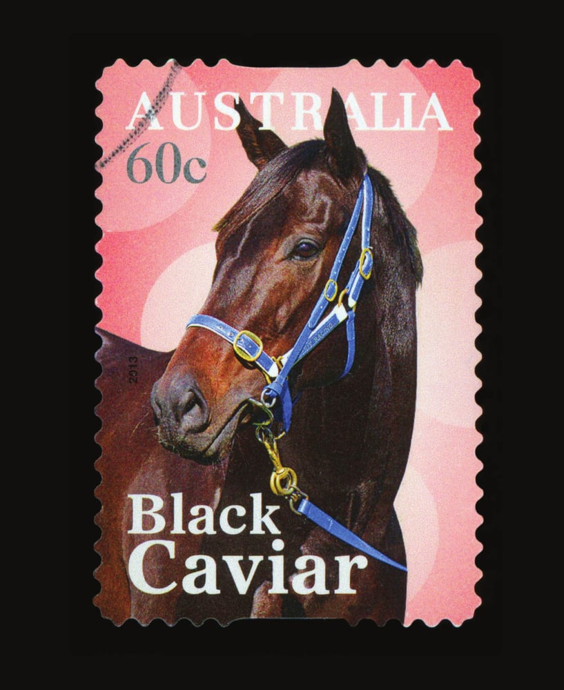 Australian stamp with a horse image.