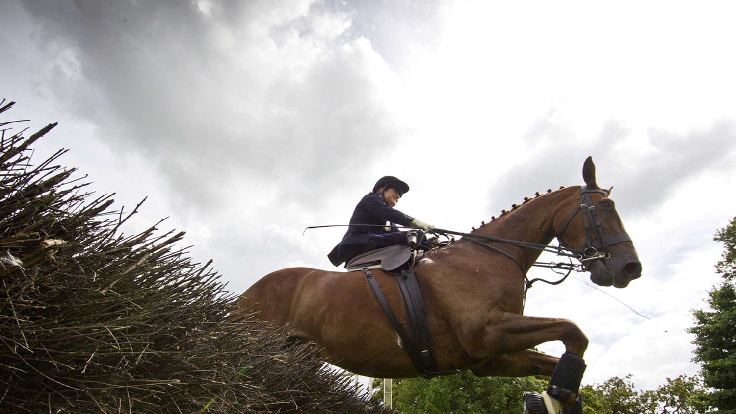 Female jockey on a horse jumping over a hedge