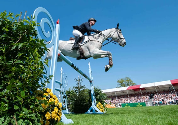 Horse jumping
