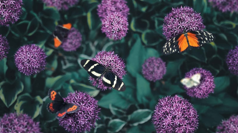 Creative writing and copywriting