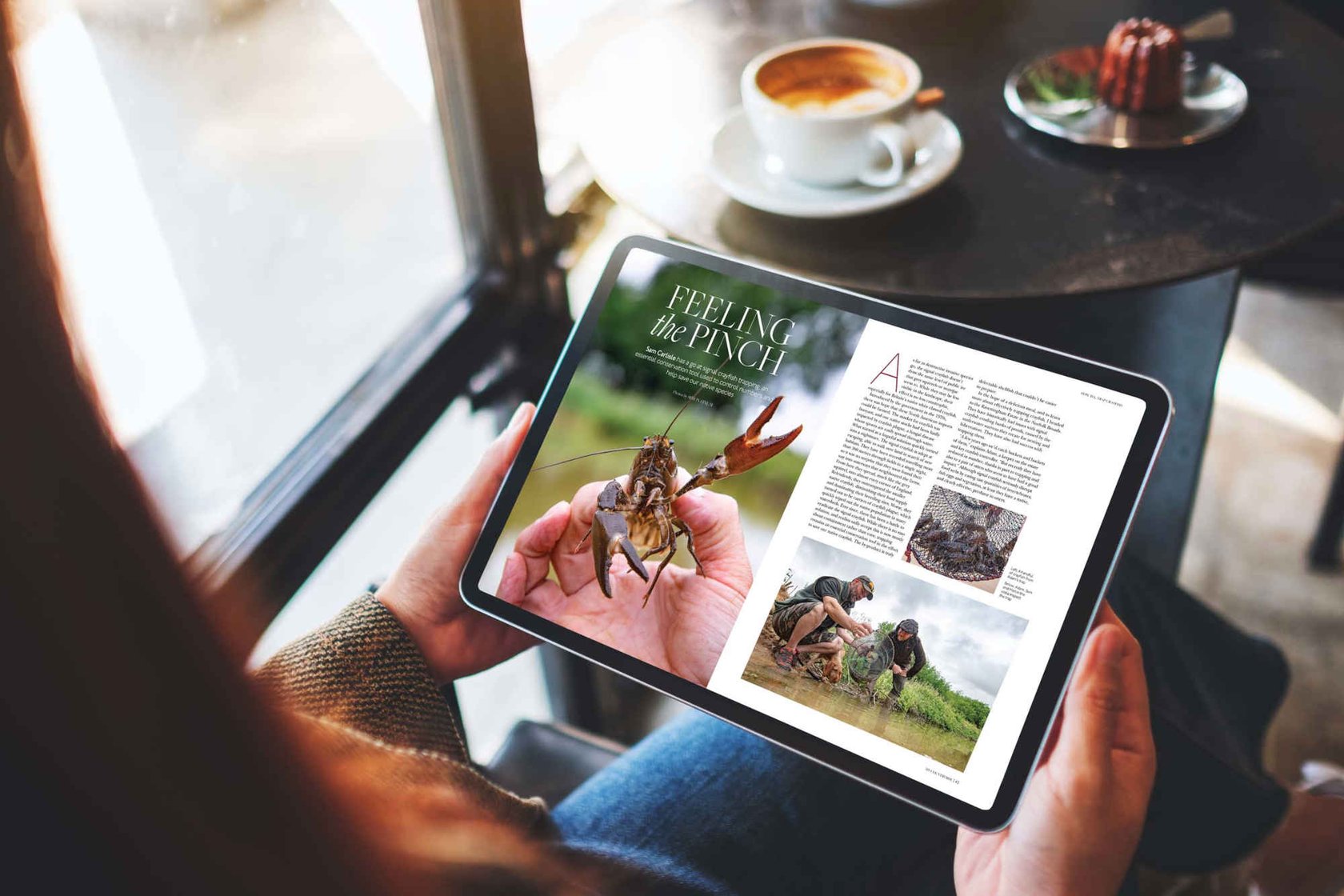 Person reading a digital magazine on a tablet