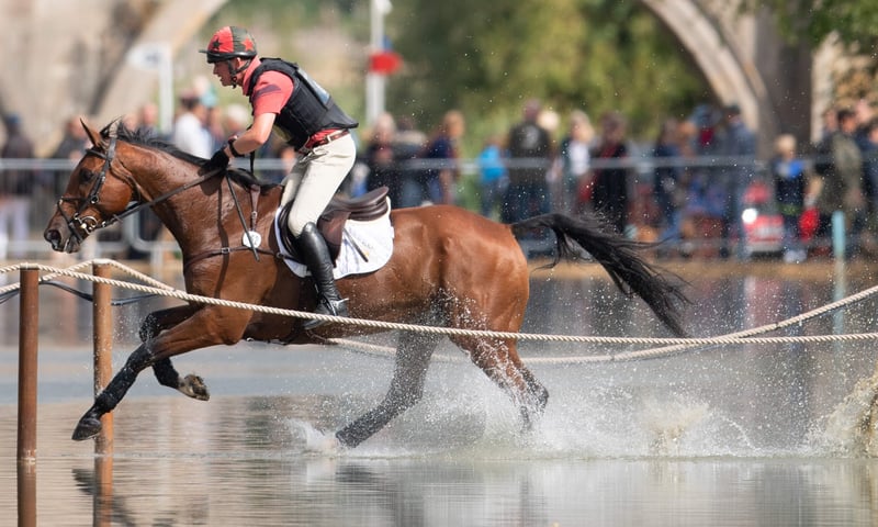 British Eventing community