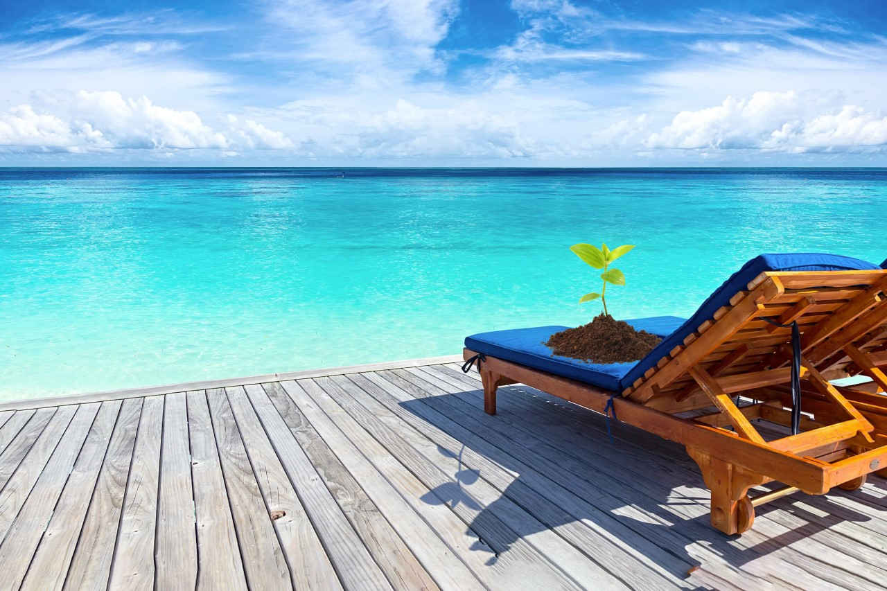A sun lounger looking out to a clear turquoise sea with a pile of earth on it with green shoots coming out of it.