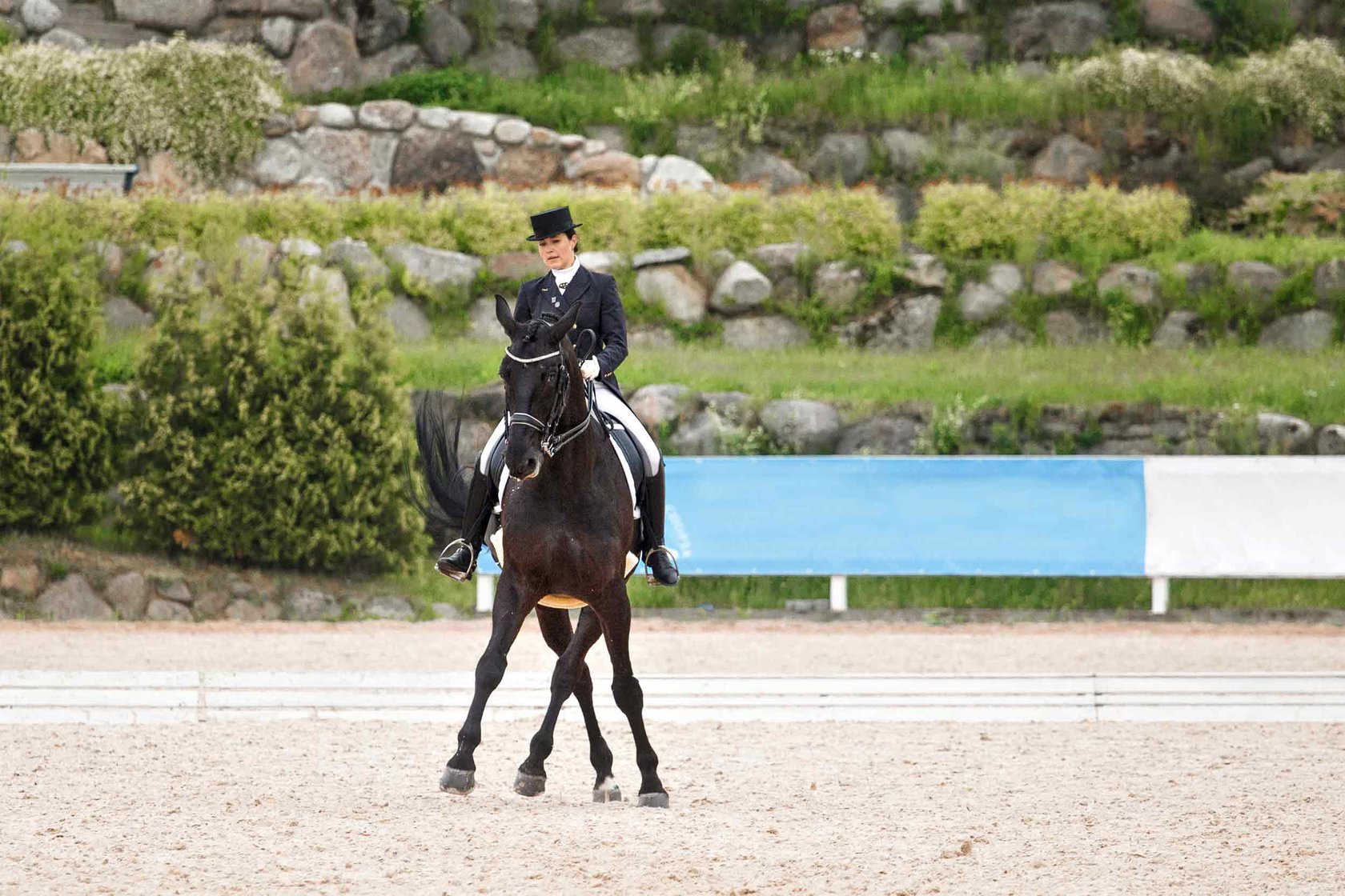 A lady on a horse.